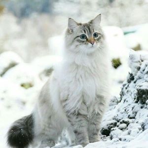 Meet your Posher, Edith